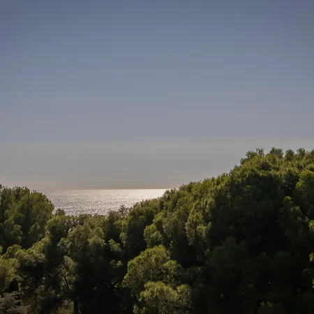 Hotel Masia Bellver - Adults Only